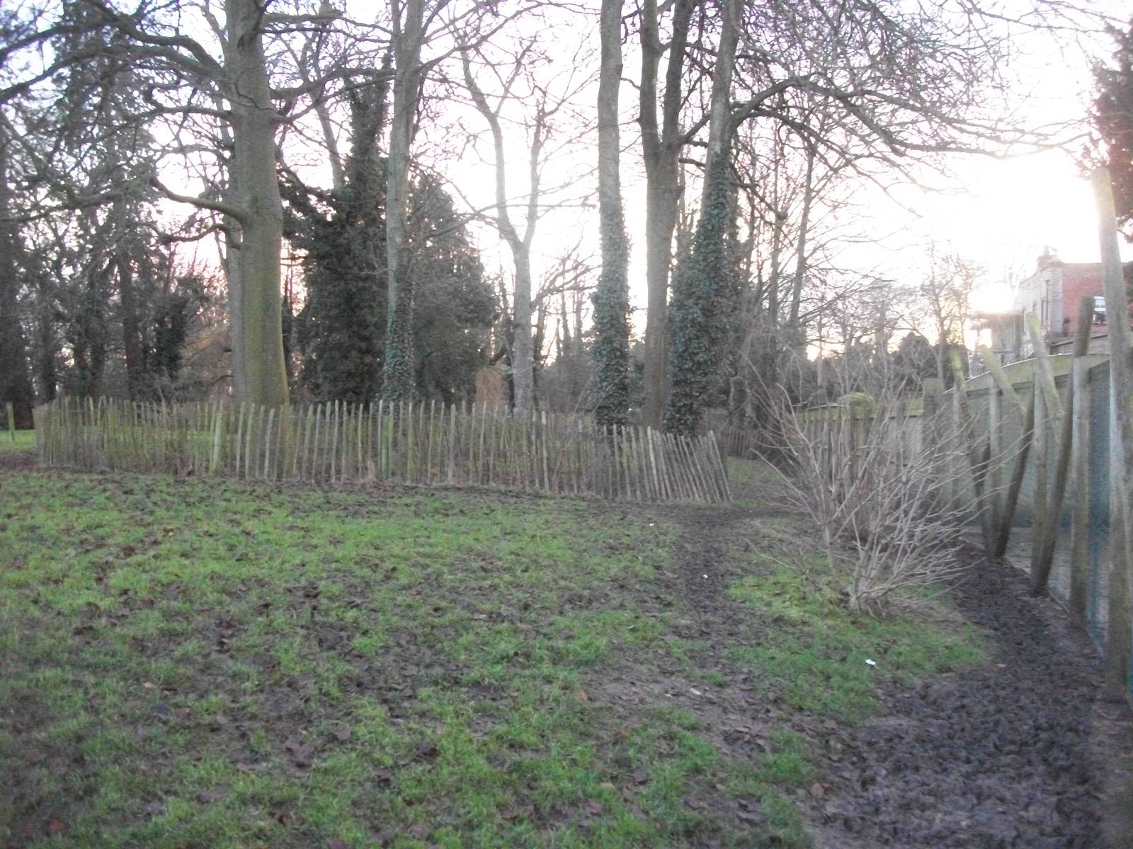 Where the Huskies howled 4th January 2013