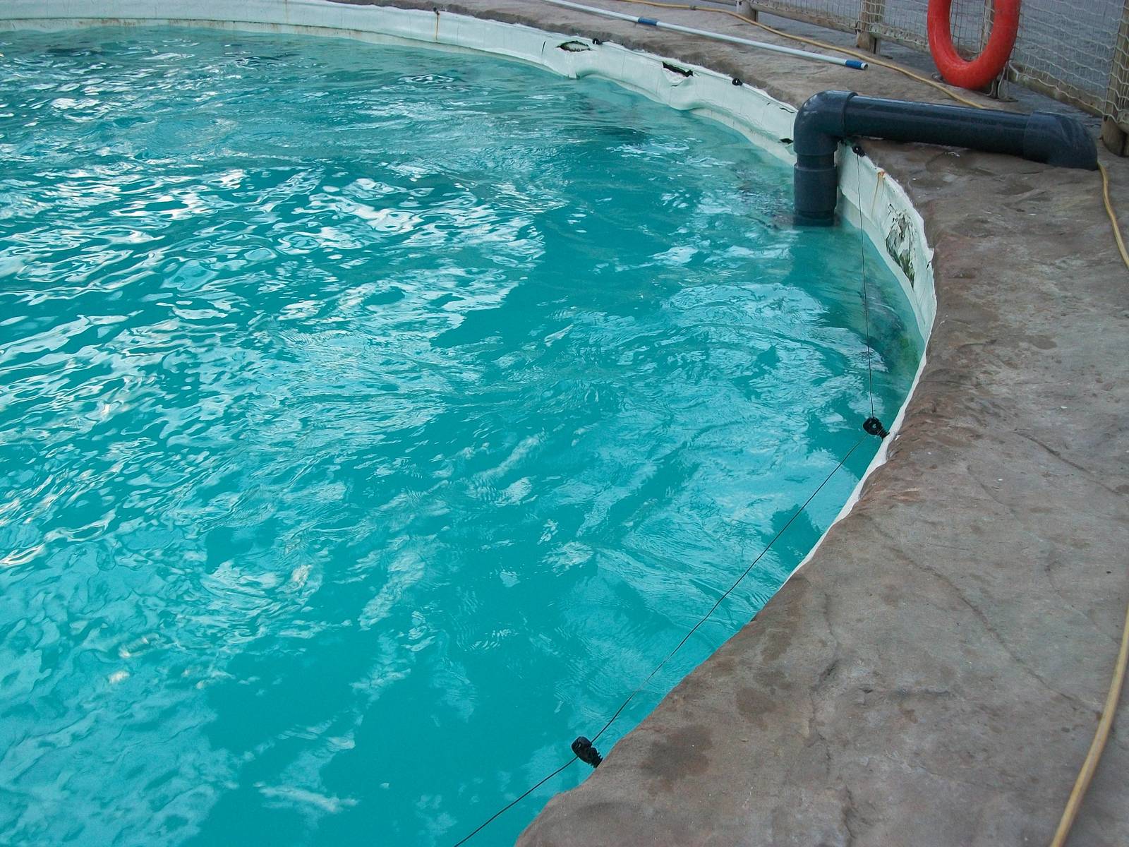 Where the Killer Whale chewed, 30th December 2013