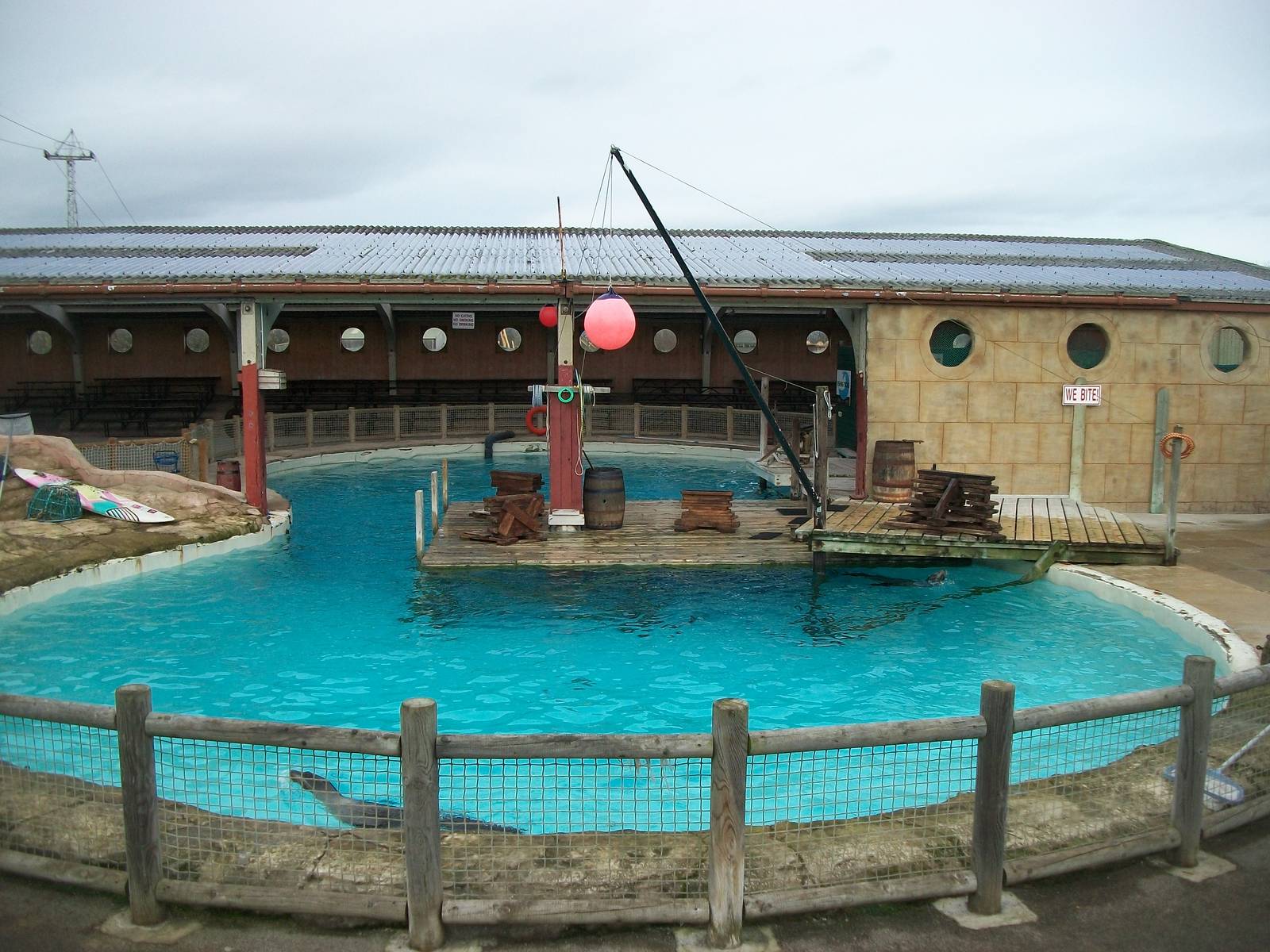 Where the Killer Whale once plunged, 17th February 2012