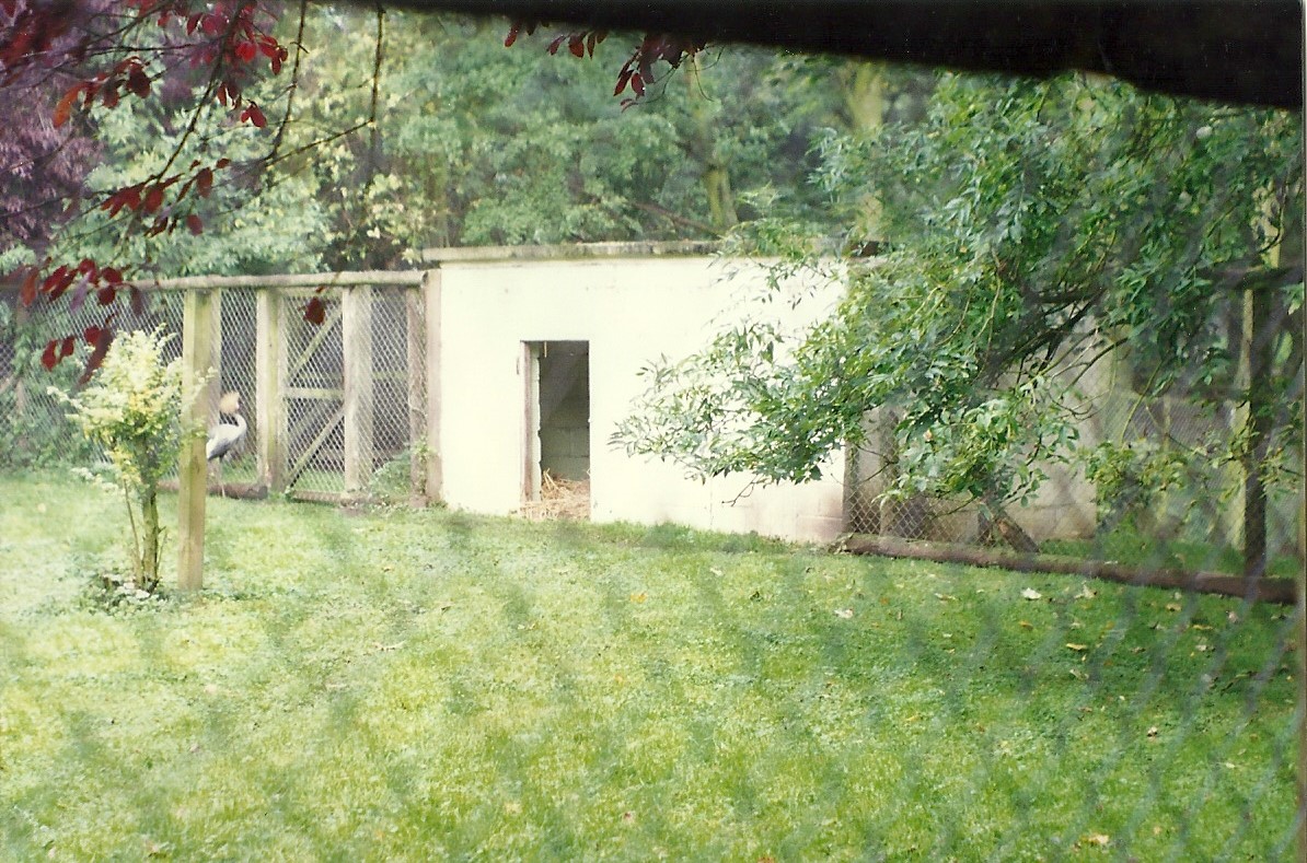 Where the Lion lounged I 17th October 1997