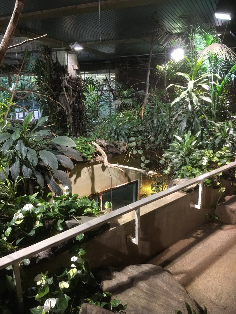 Where the manatee once swam