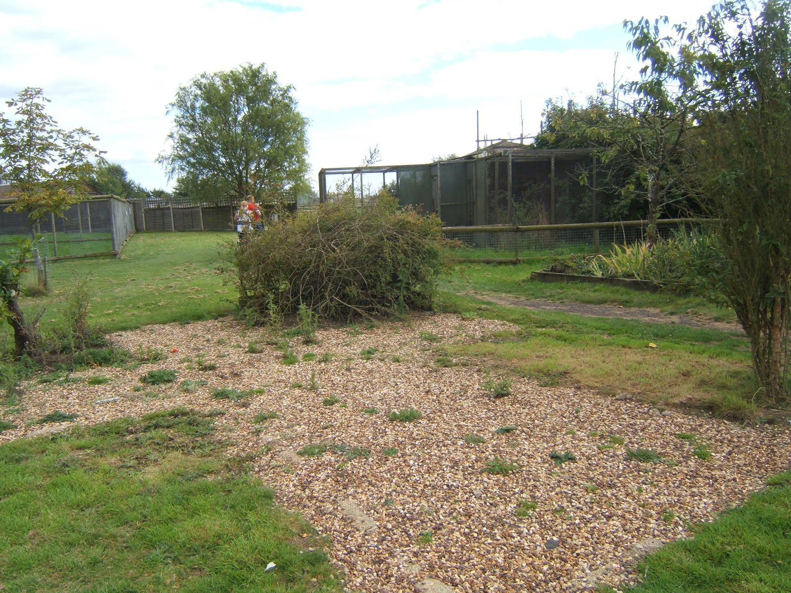 Where the Mountain Viscacha enclosure was