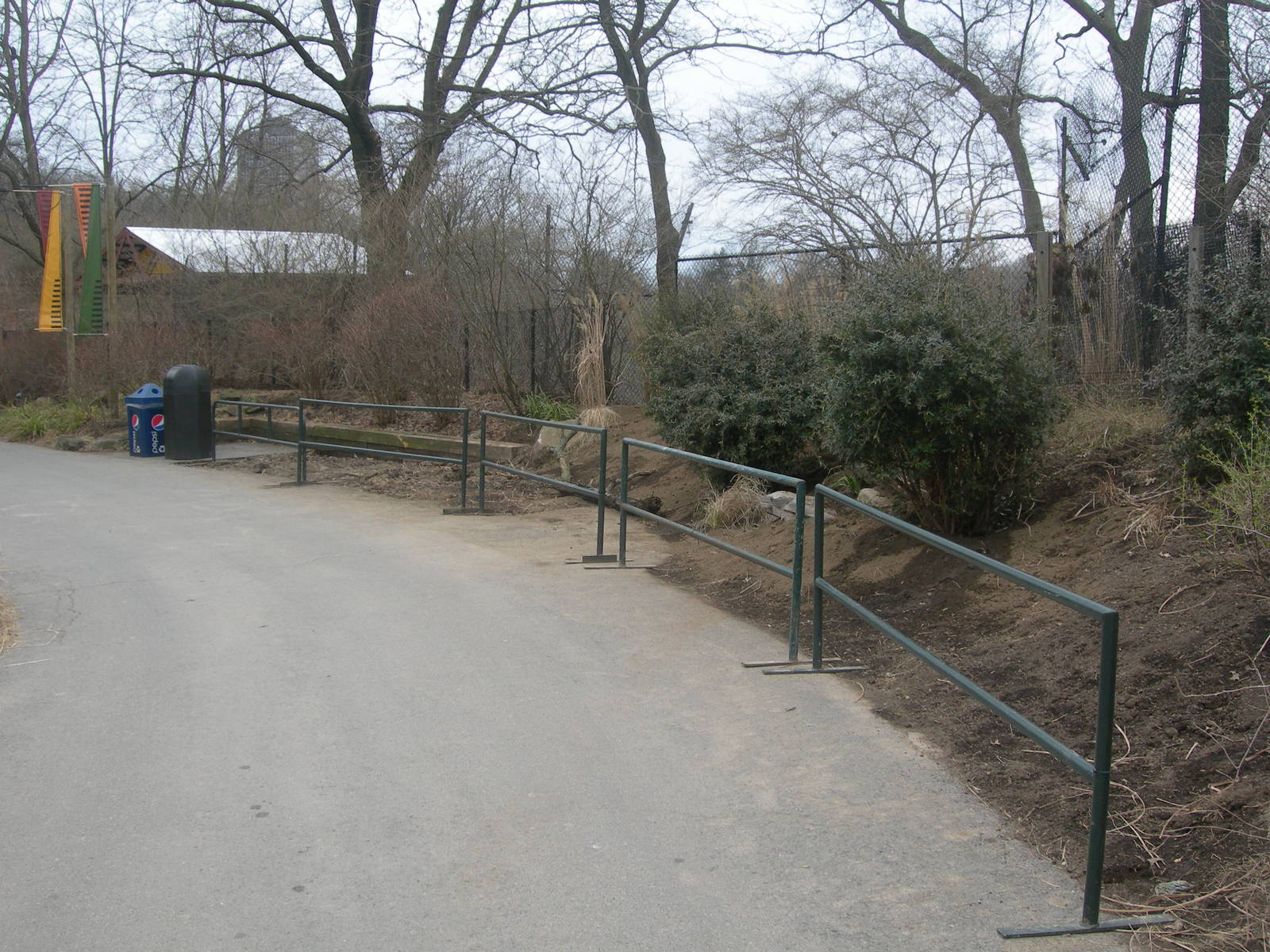 where the painted dog deck used to be