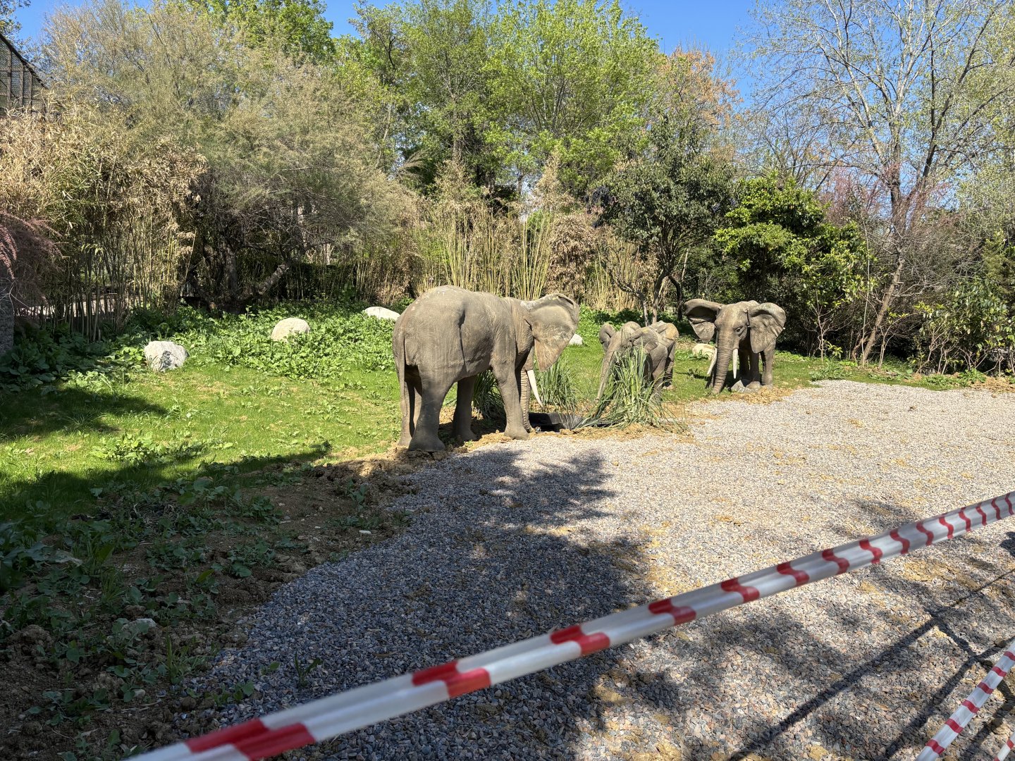 Where the penguins once roamed…