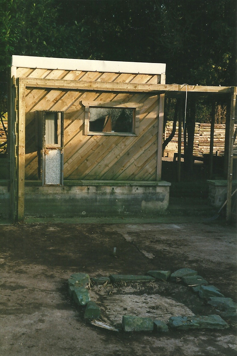 Where the primate cage had been 26th February 2000