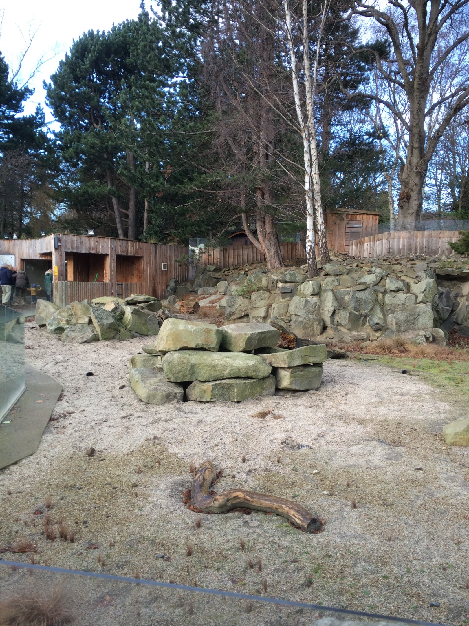 Where the sea lions once swam....