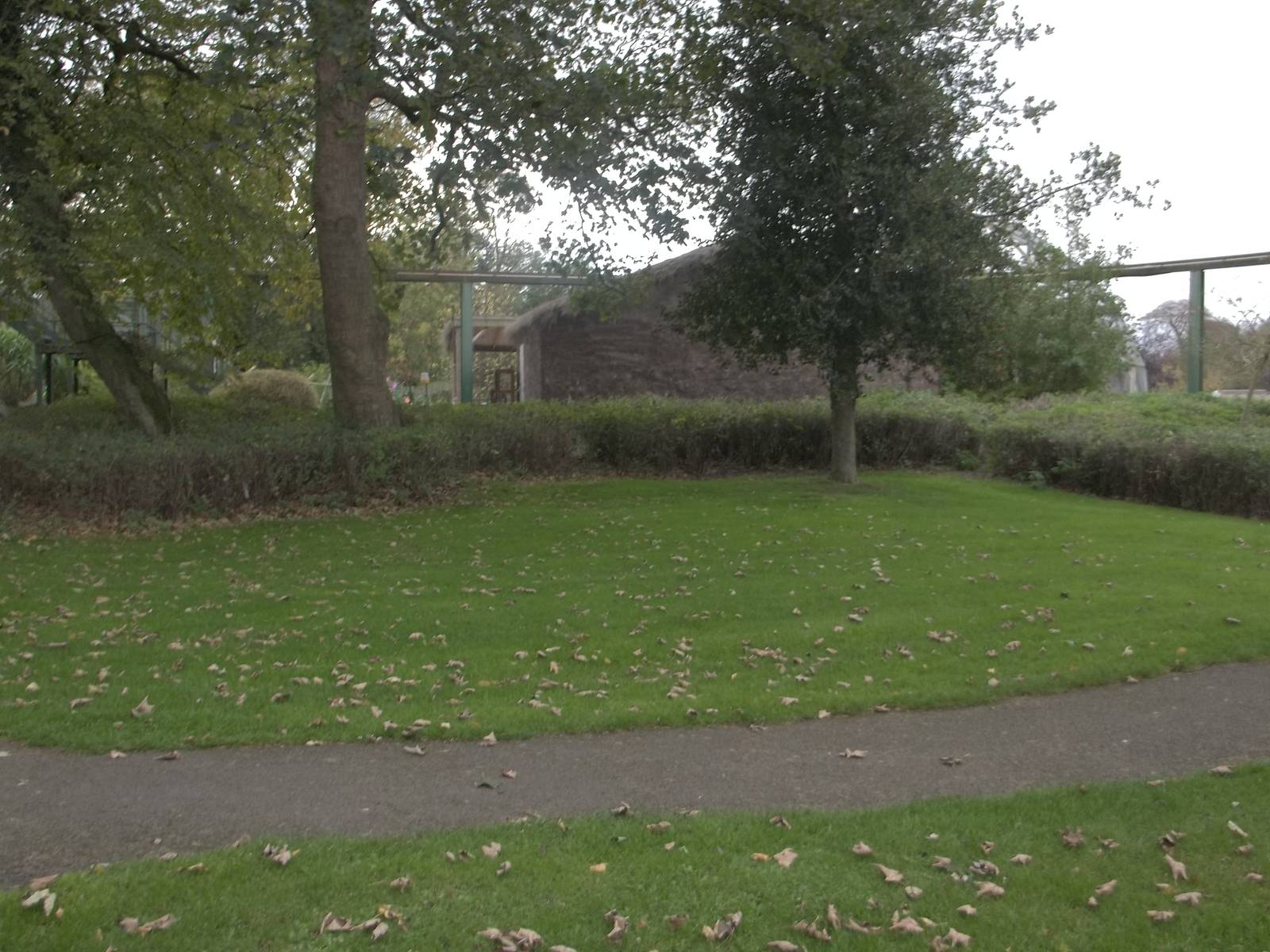 Where the Serval sprang and the Mangabey munched, 27th October 2014