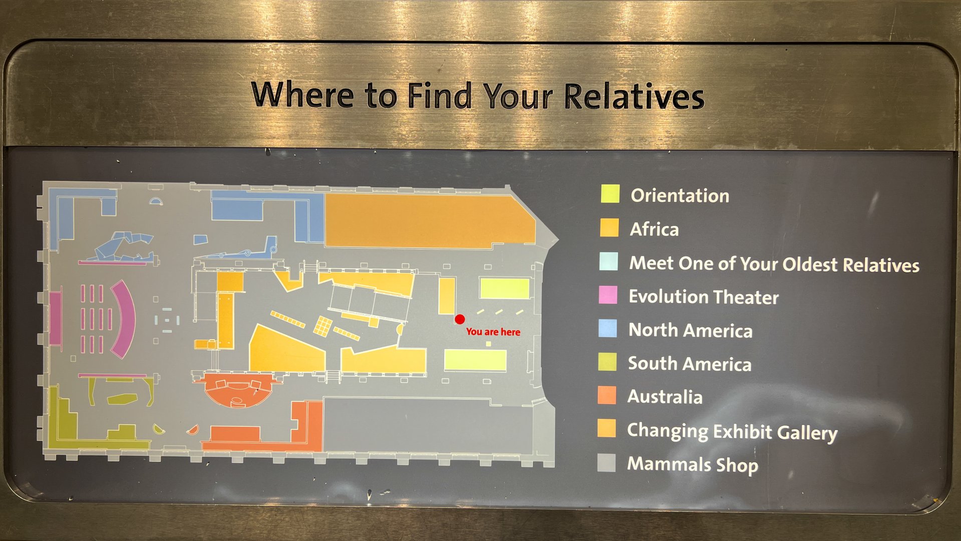 Where To Find Your Relatives (Kenneth E. Behring Family Hall of Mammals Map)