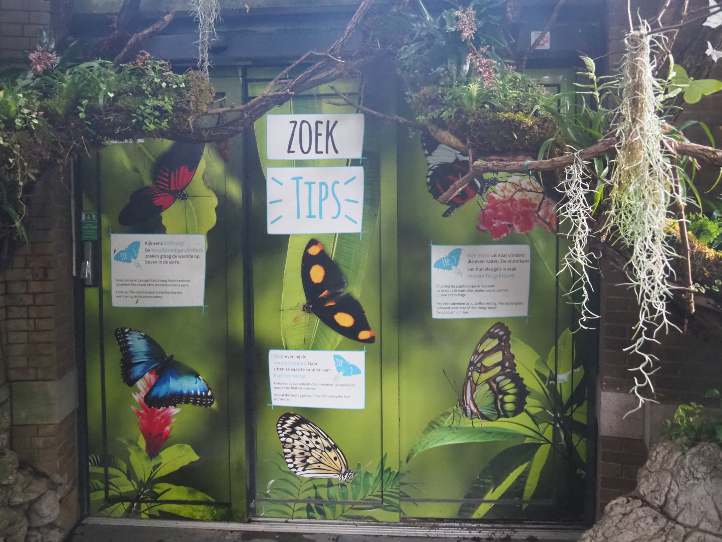 Where to search for butterflies in the Winter garden signage, 2020-06-28