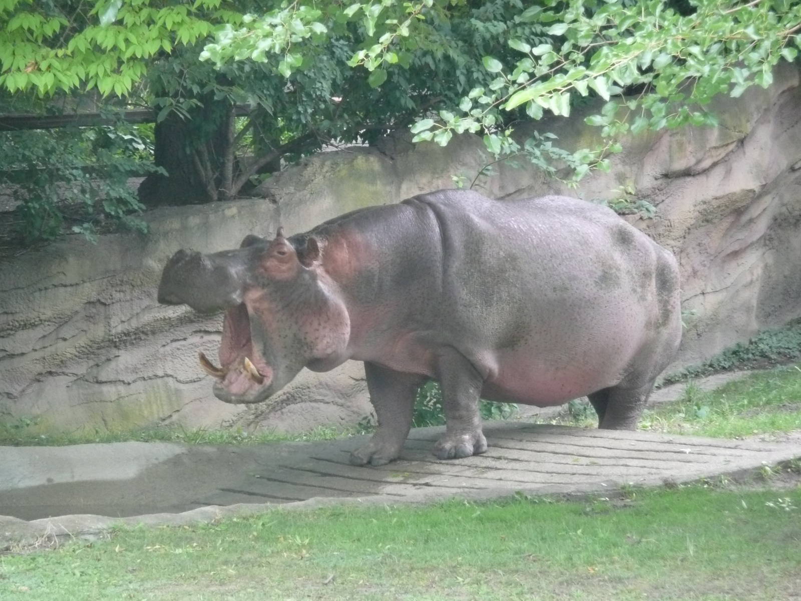 Where's my marbles???