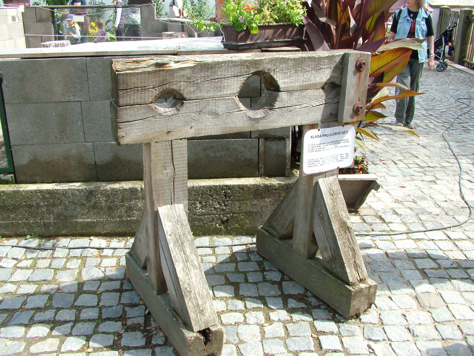 Where's Zoogiraffe When You Need Him? Chleby, 26/08/12