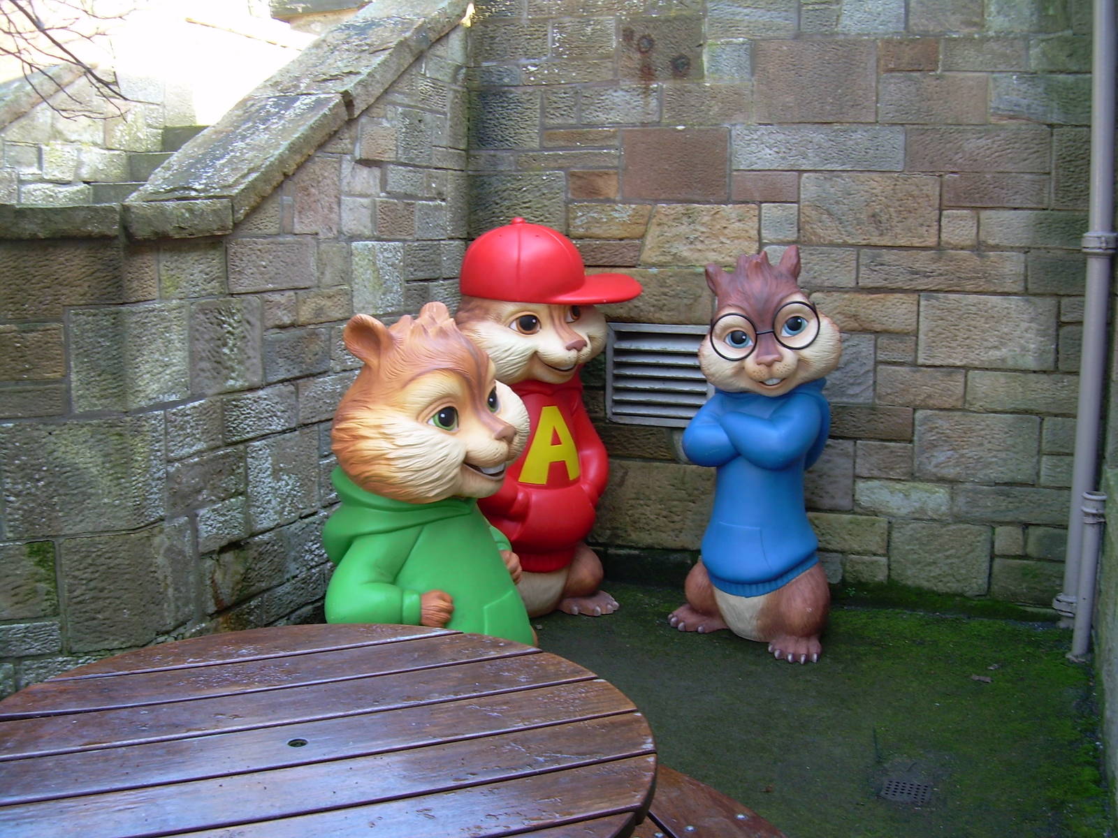 Which enclosure for these guys?