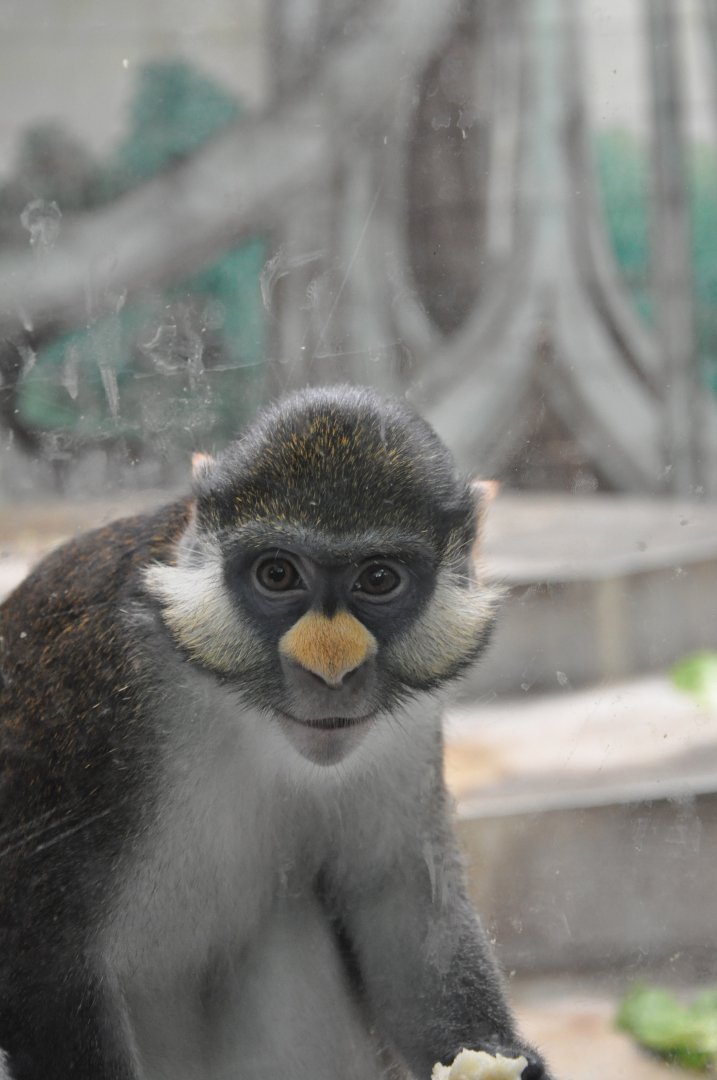 Which species is this?