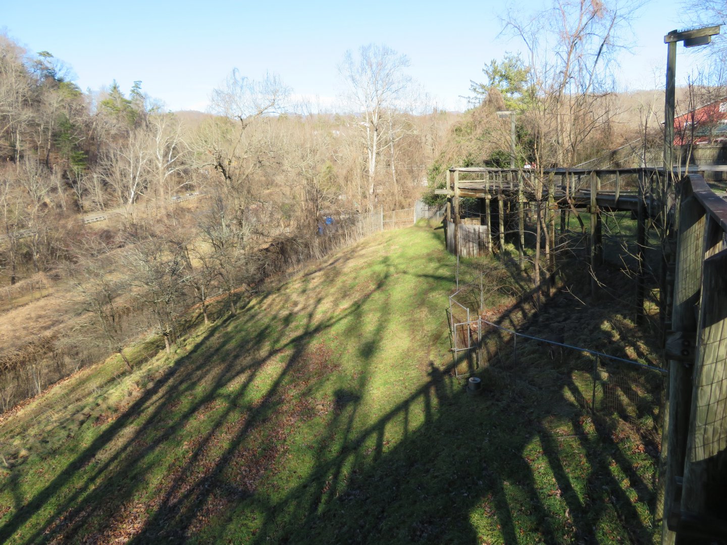Whiite-tailed Deer Exhibit (half)