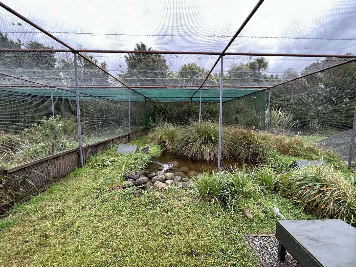 Whio Aviaries