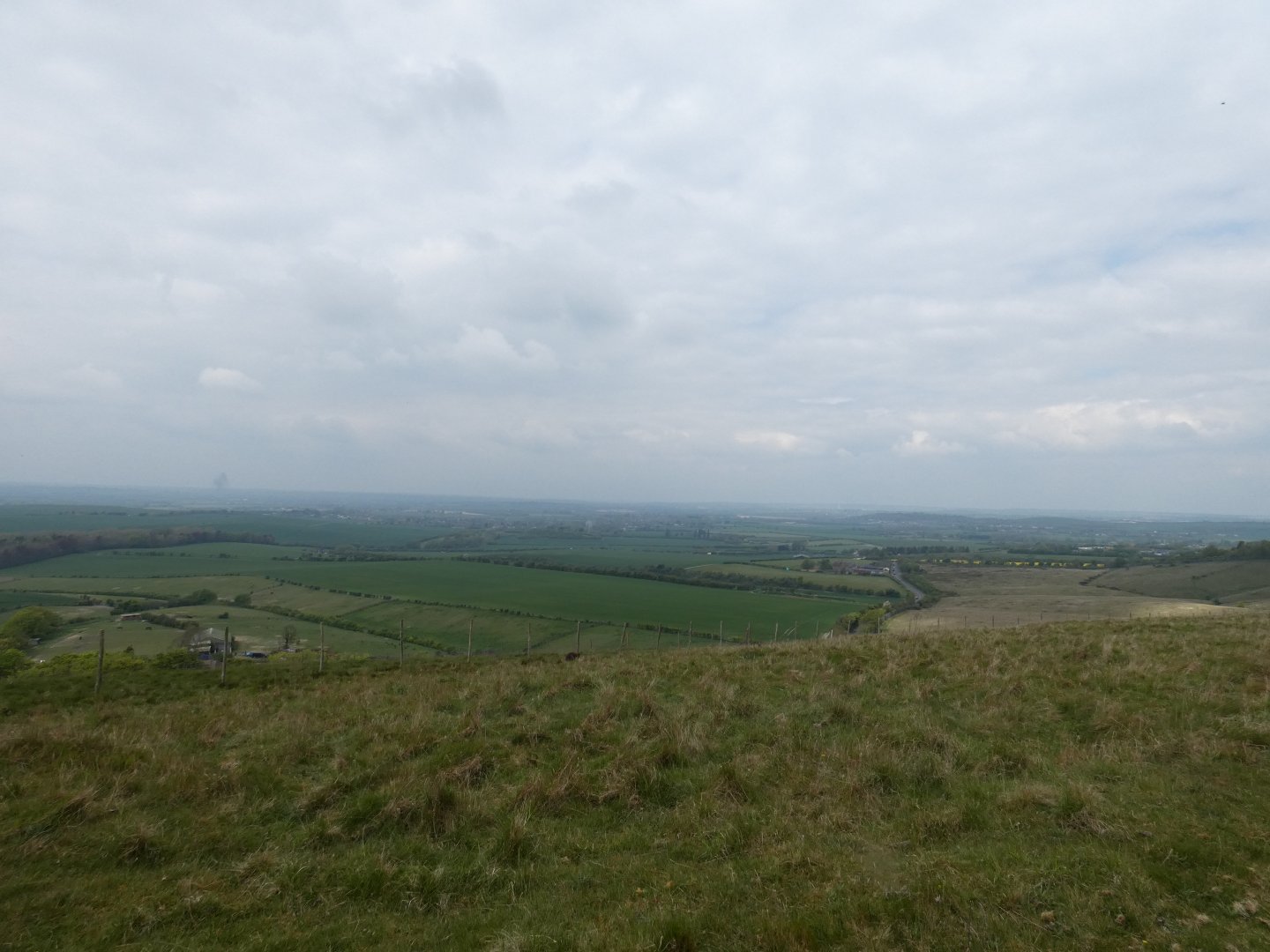 Whipsnade Downs