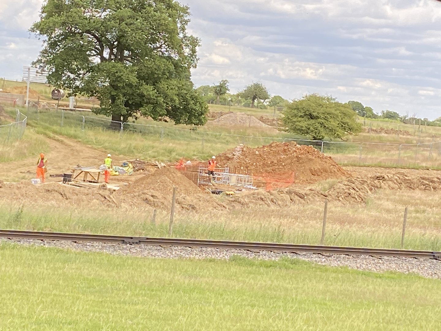 Whipsnade Progress on monkey forest from passage through Asia