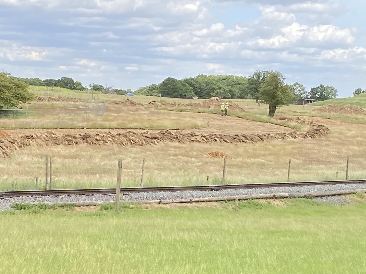 Whipsnade Progress on monkey forest from passage through Asia