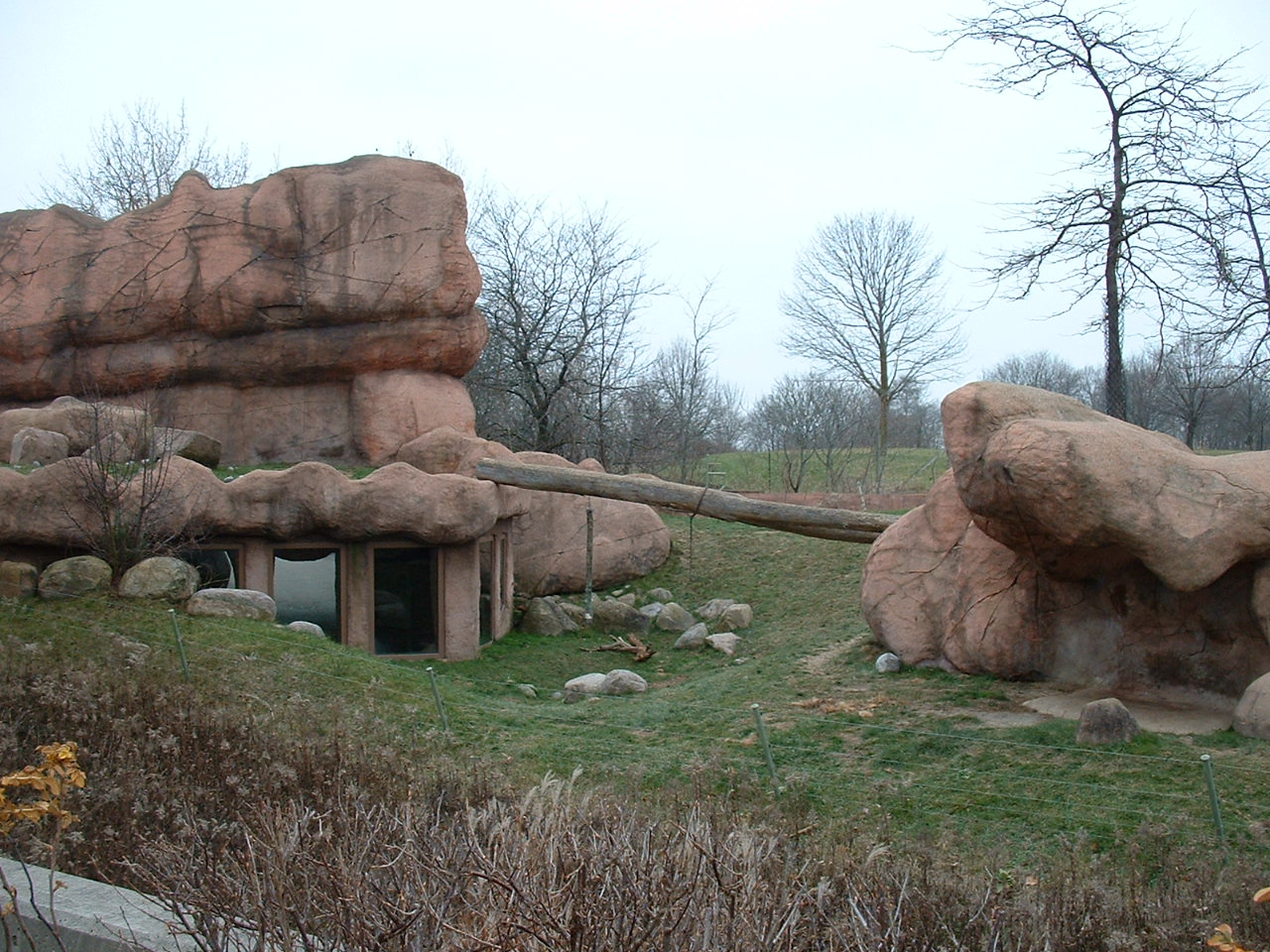 White African Lion Enclosure - Nov 2012