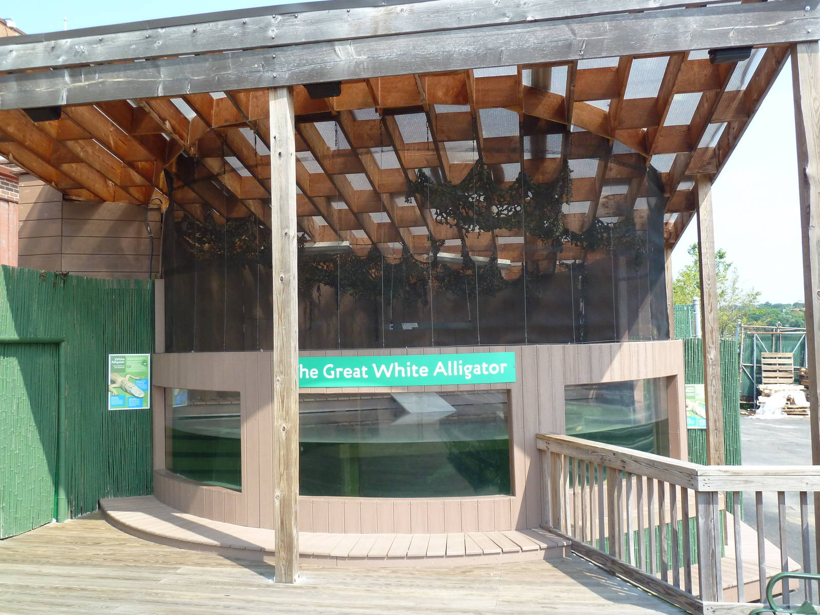 White Alligator Exhibit