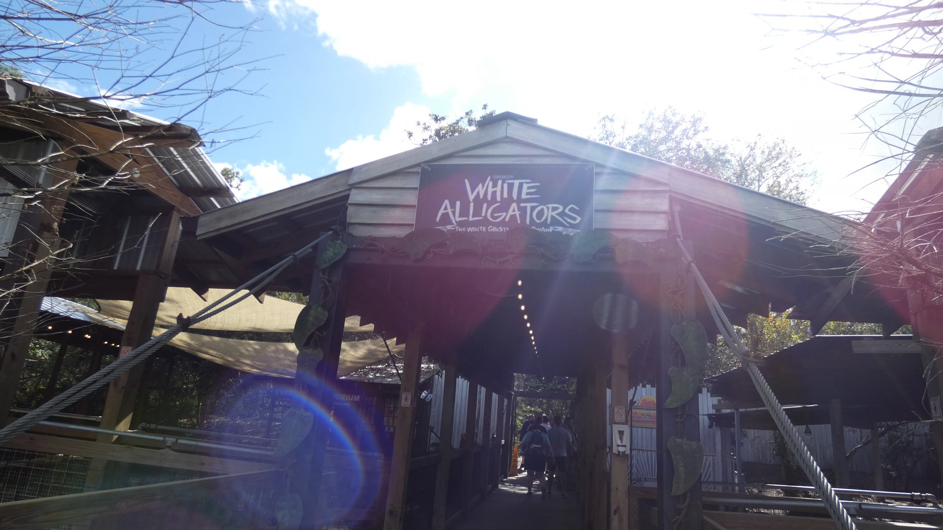 White Alligators - Jan. 2022