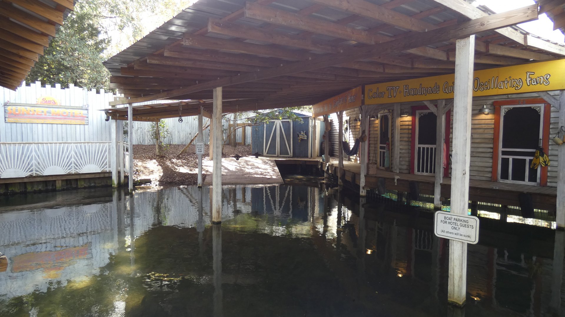 White Alligators - Jan. 2022