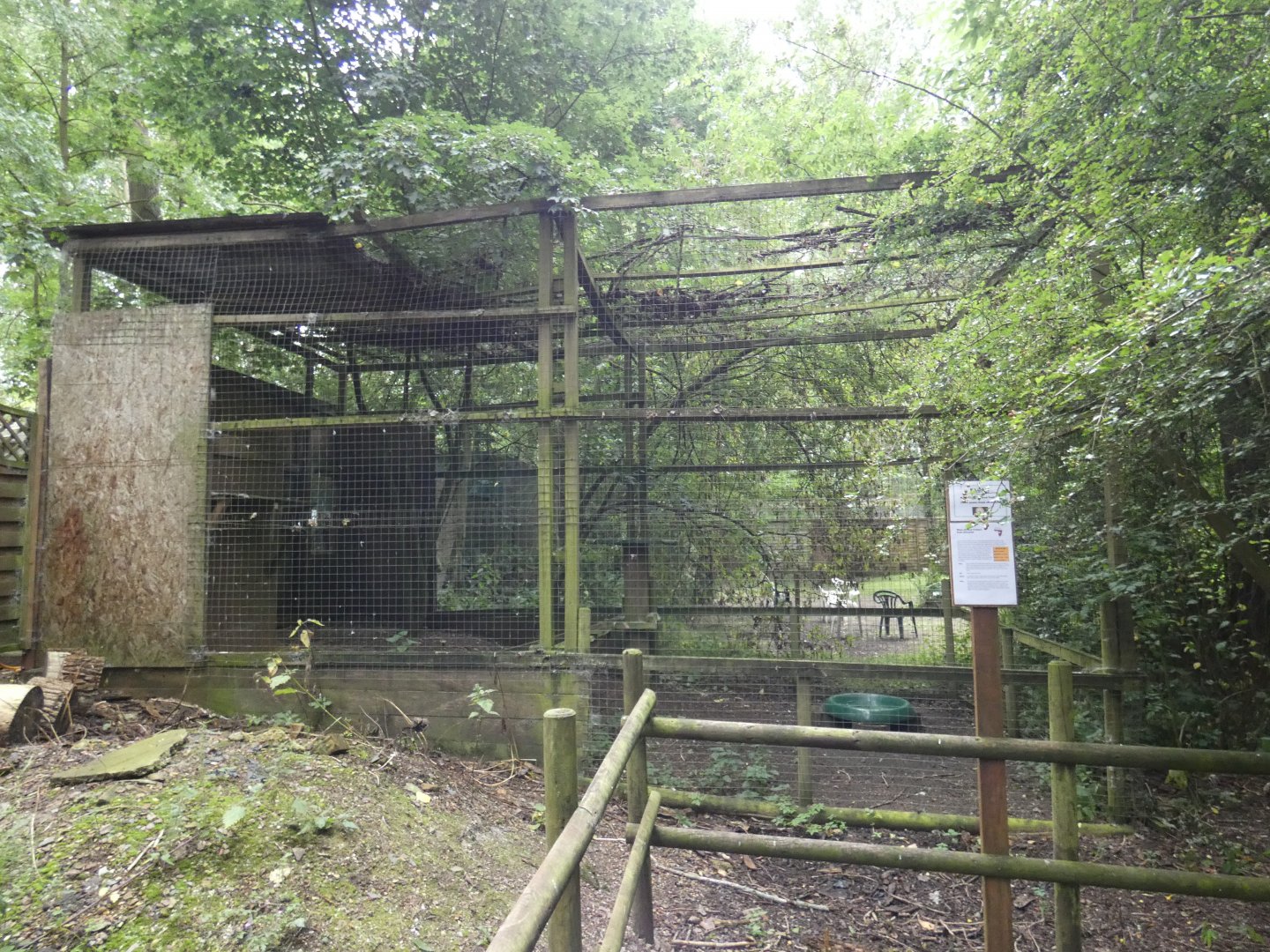 White-backed vulture aviary (Rutland Falconry Centre)