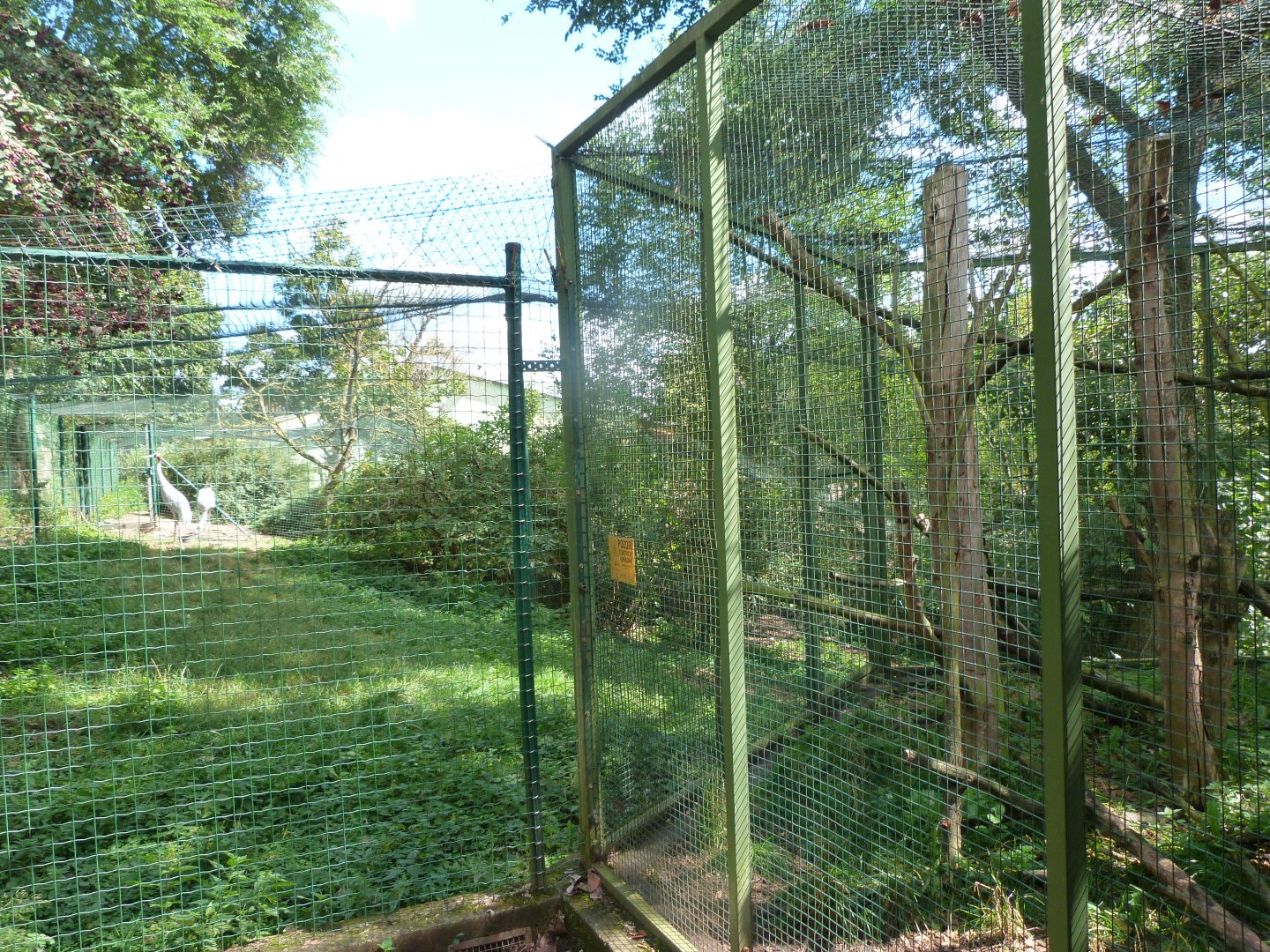 White-bearded masked palm civet and Indian sarus crane exhibits -Zoo Plzeň (2025)