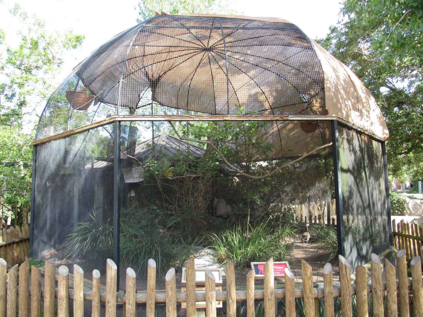 White Bellied Bustard Exhibit