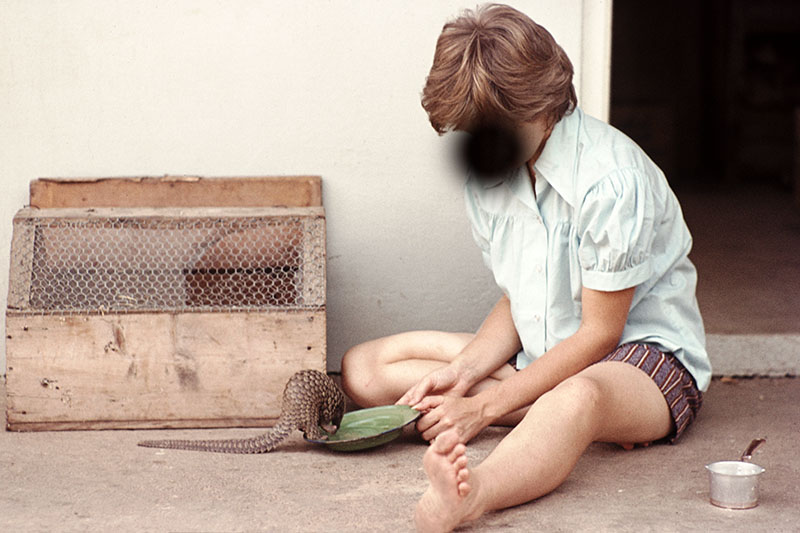 White-bellied pangolin (pet) 1