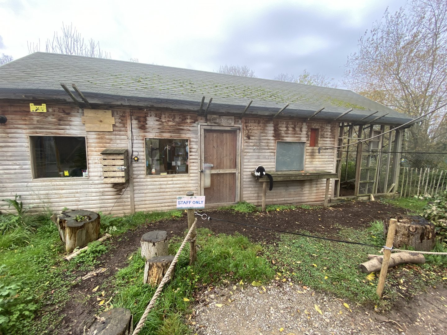 White-belted black and white-ruffed lemur house
