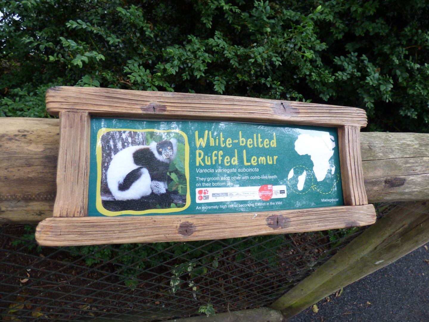 White-Belted Ruffed Lemur Signage