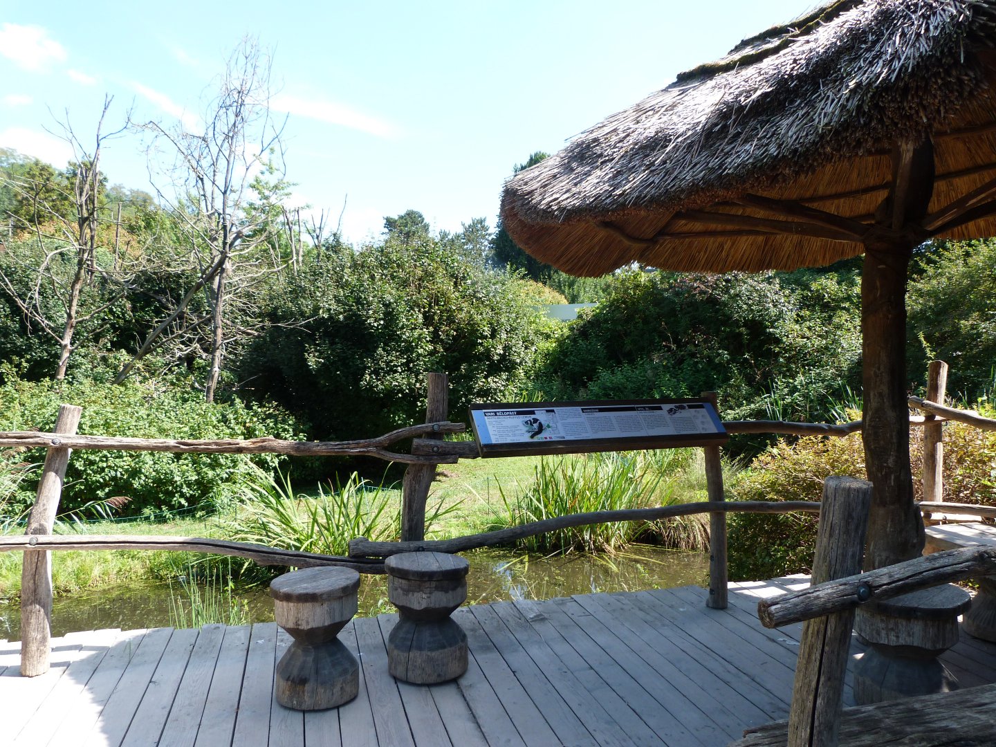 White-belted ruffed lemur viewing area -Zoo Praha (2025)