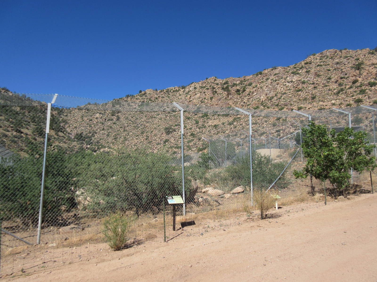 White Bengal Tiger Exhibit