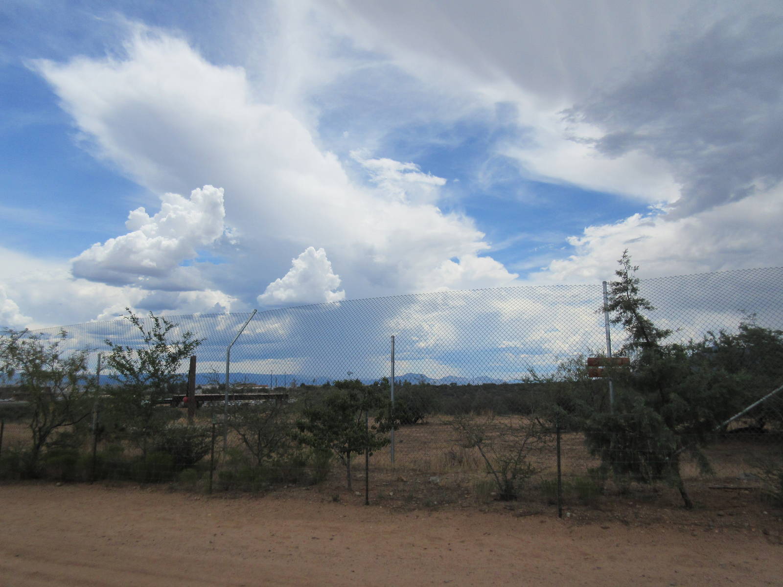 White Bengal Tiger Exhibit