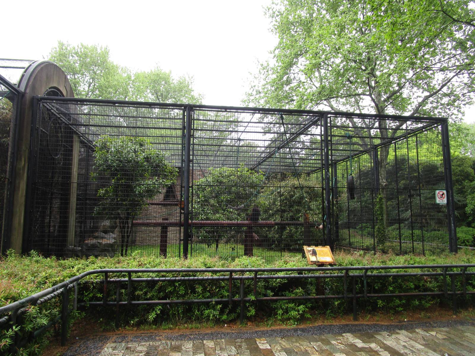 White-browed Gibbon Enclosure - 16/04/2016