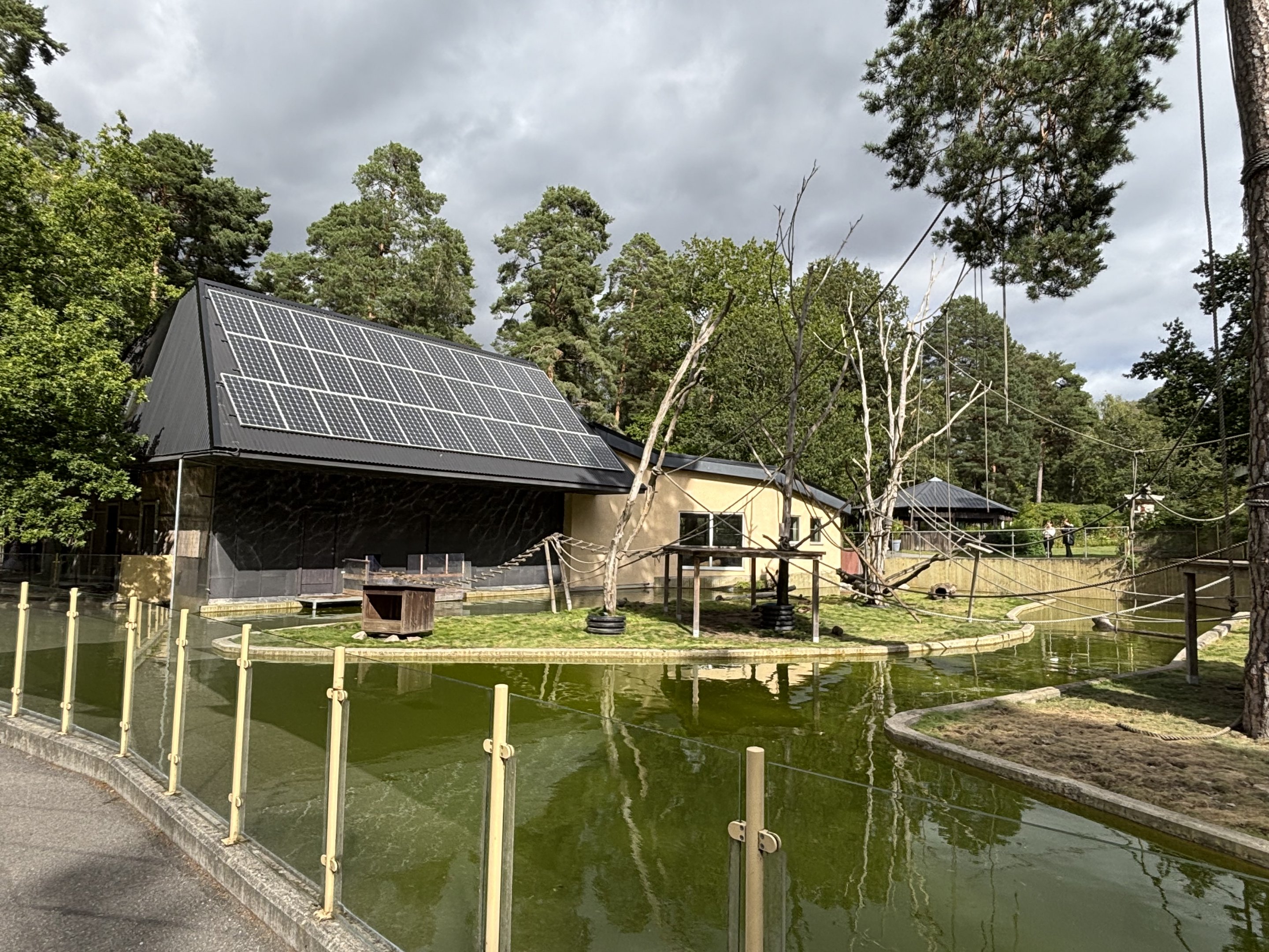 White cheeked gibbon and asian small clawed otter