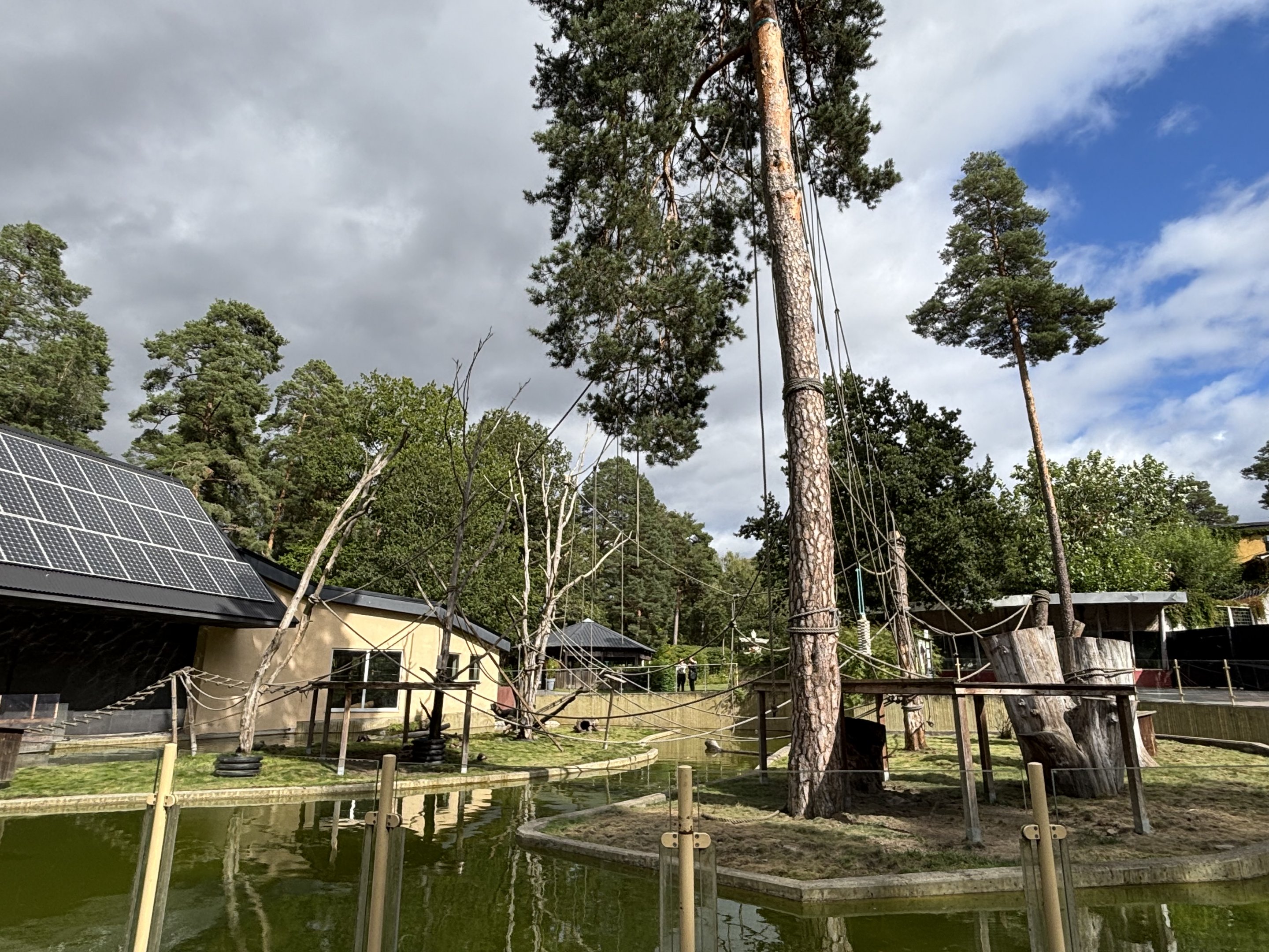 White cheeked gibbon and asian small clawed otter