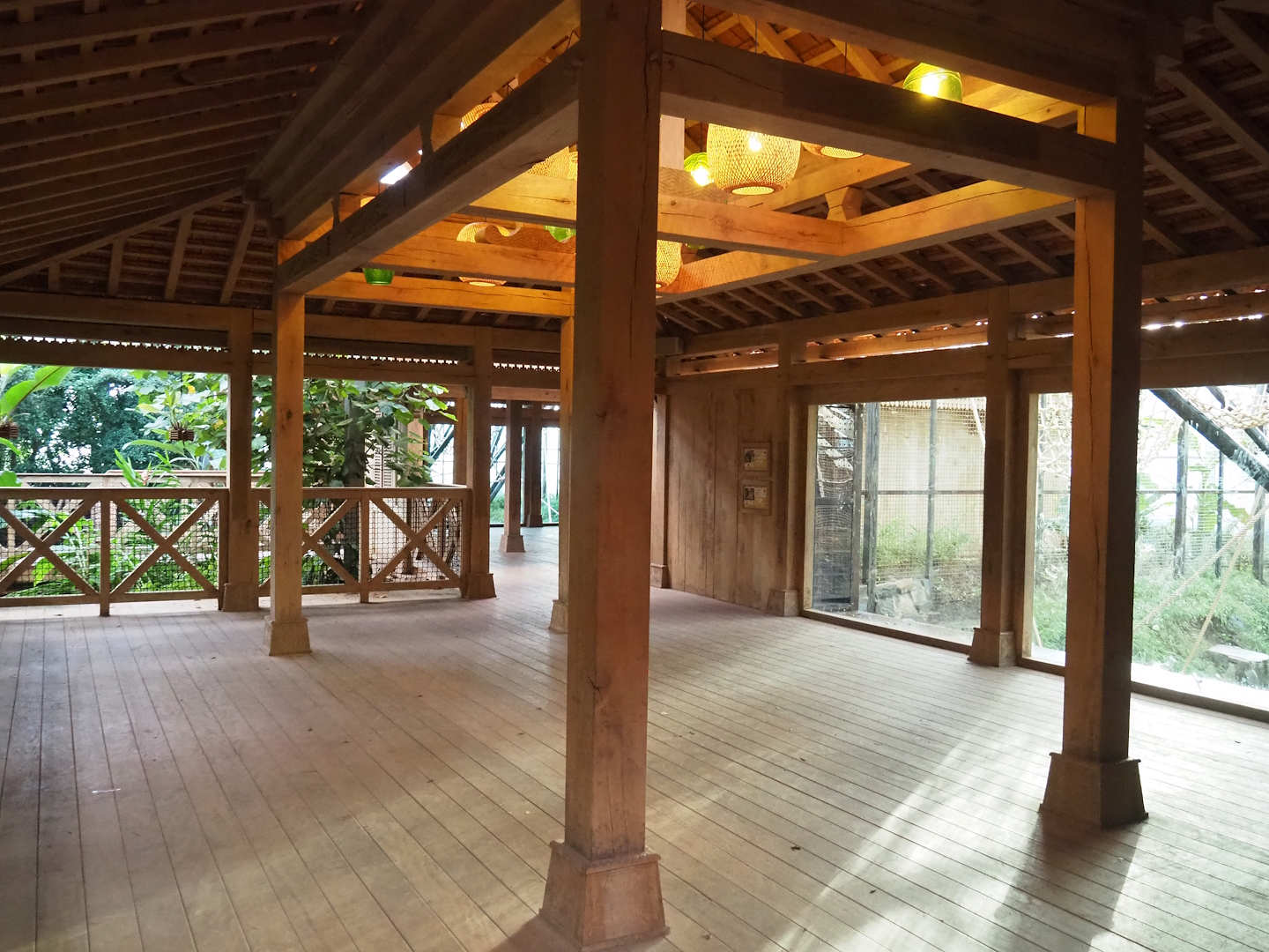 White-cheeked gibbon and Sumatran orangutan viewing areas, 2022-10-19