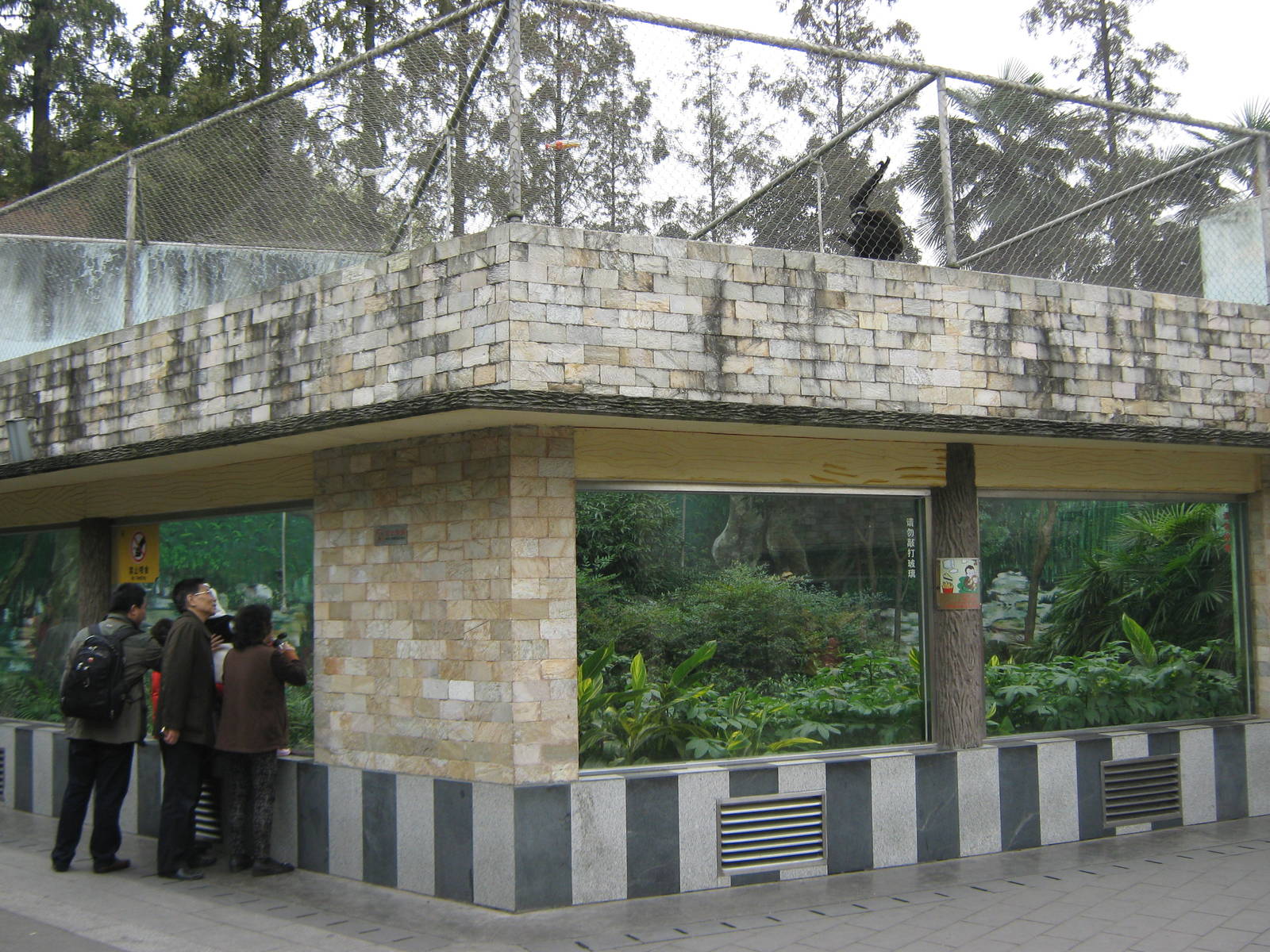 white-cheeked gibbon cage