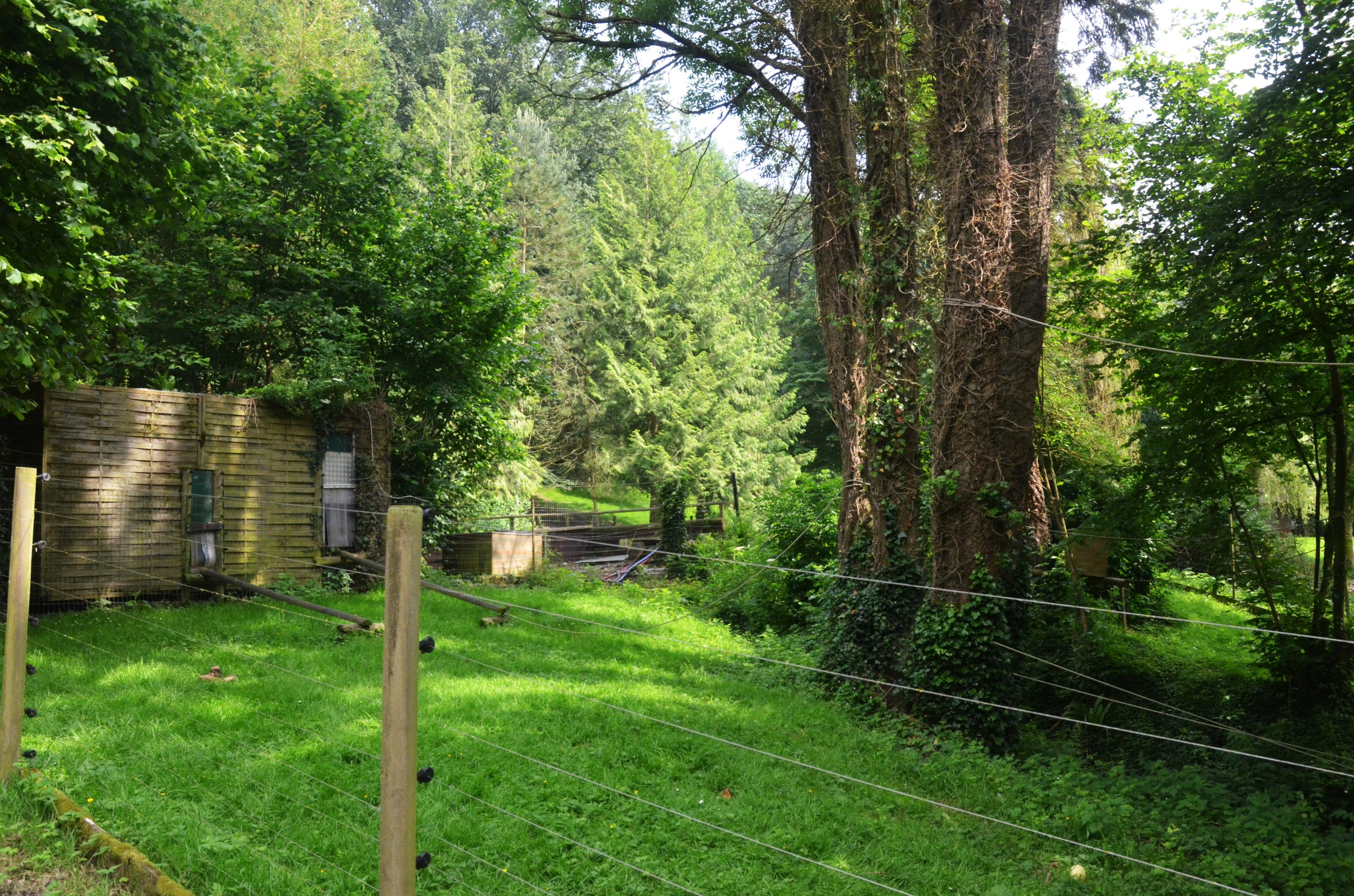 White-cheeked Gibbon Enclosure at CERZA, 10/06/18