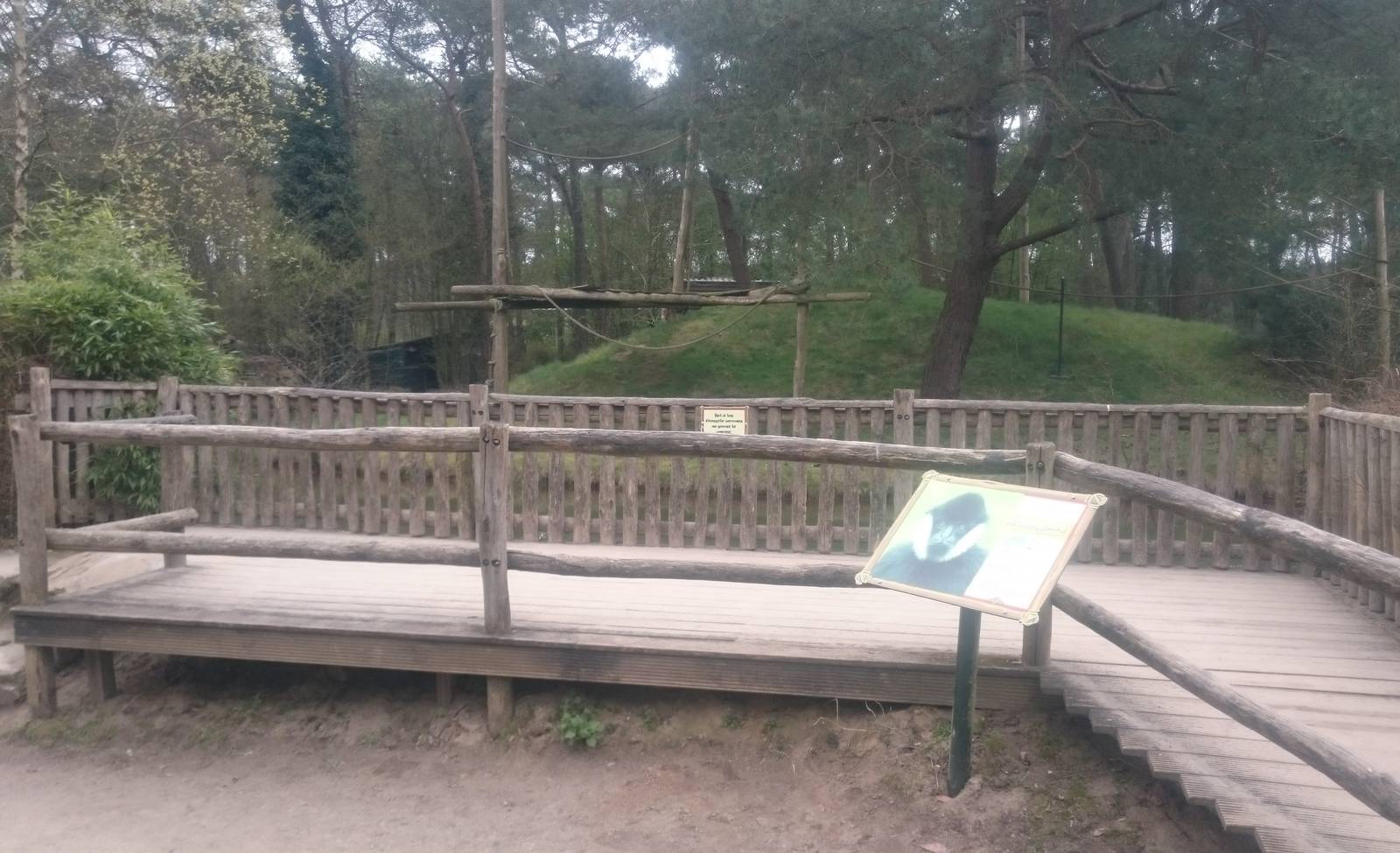 White-cheeked gibbon enclosure