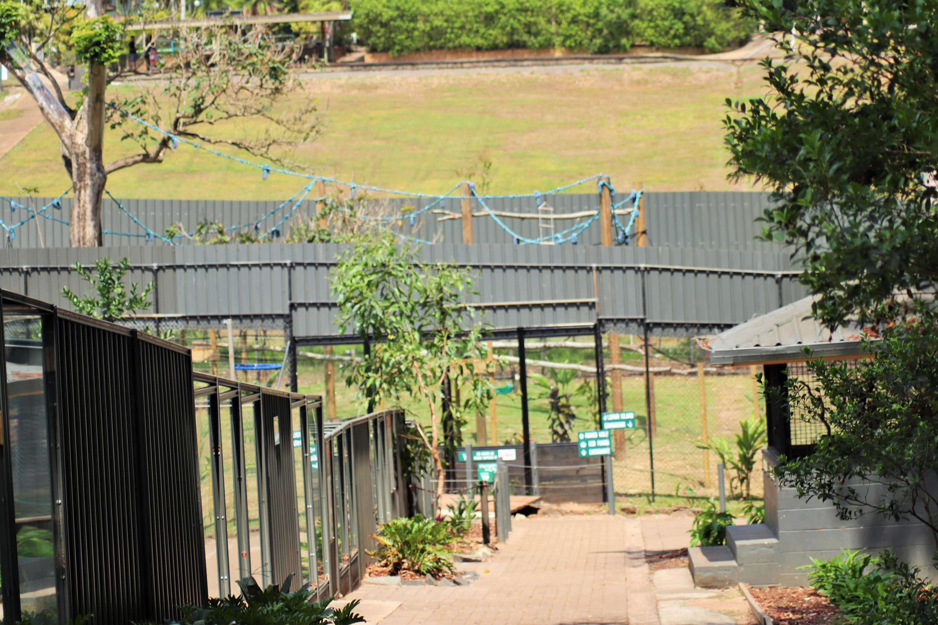 White-cheeked Gibbon Enclosure