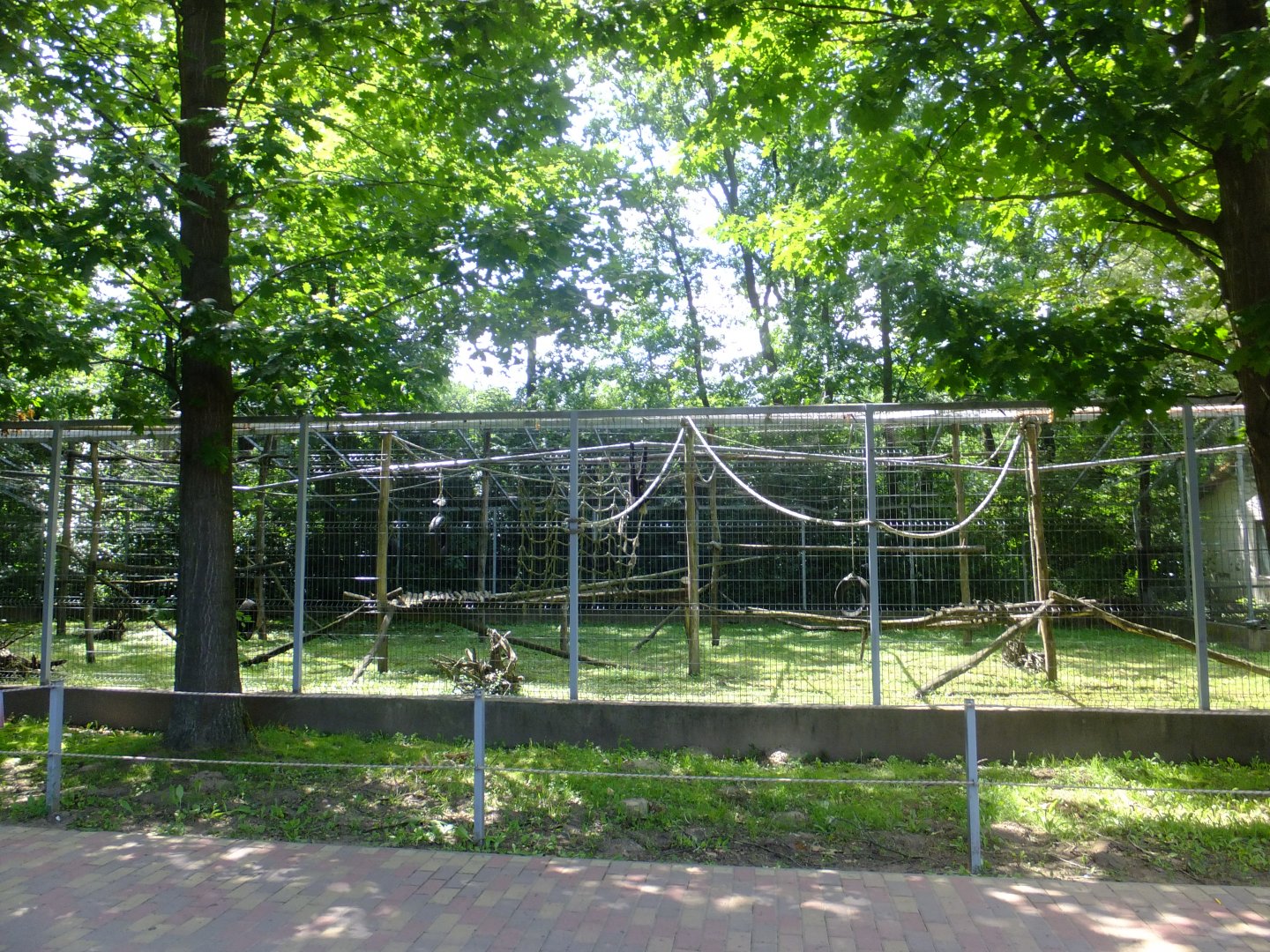 White-cheeked gibbon enclosure