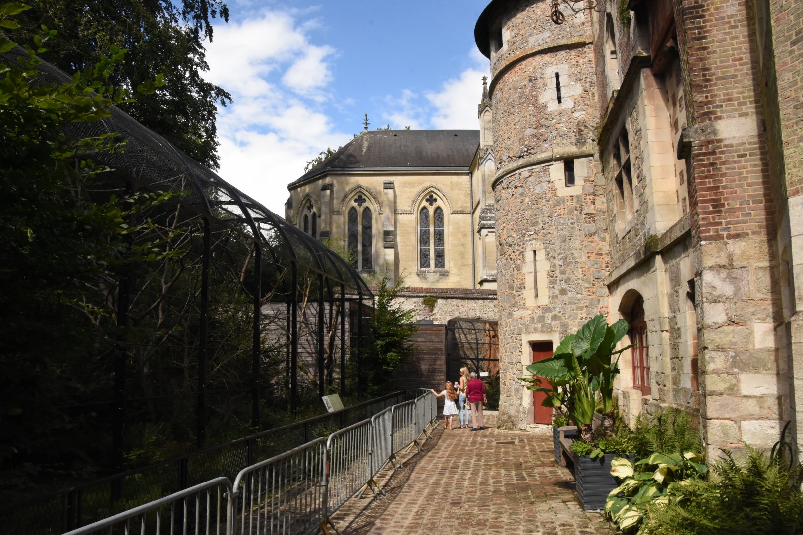 White-cheeked gibbon enclosure