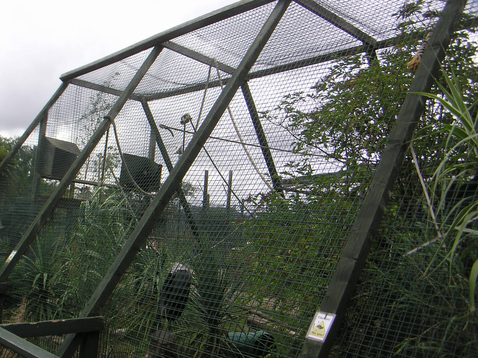 White-Cheeked Gibbon Enclosure