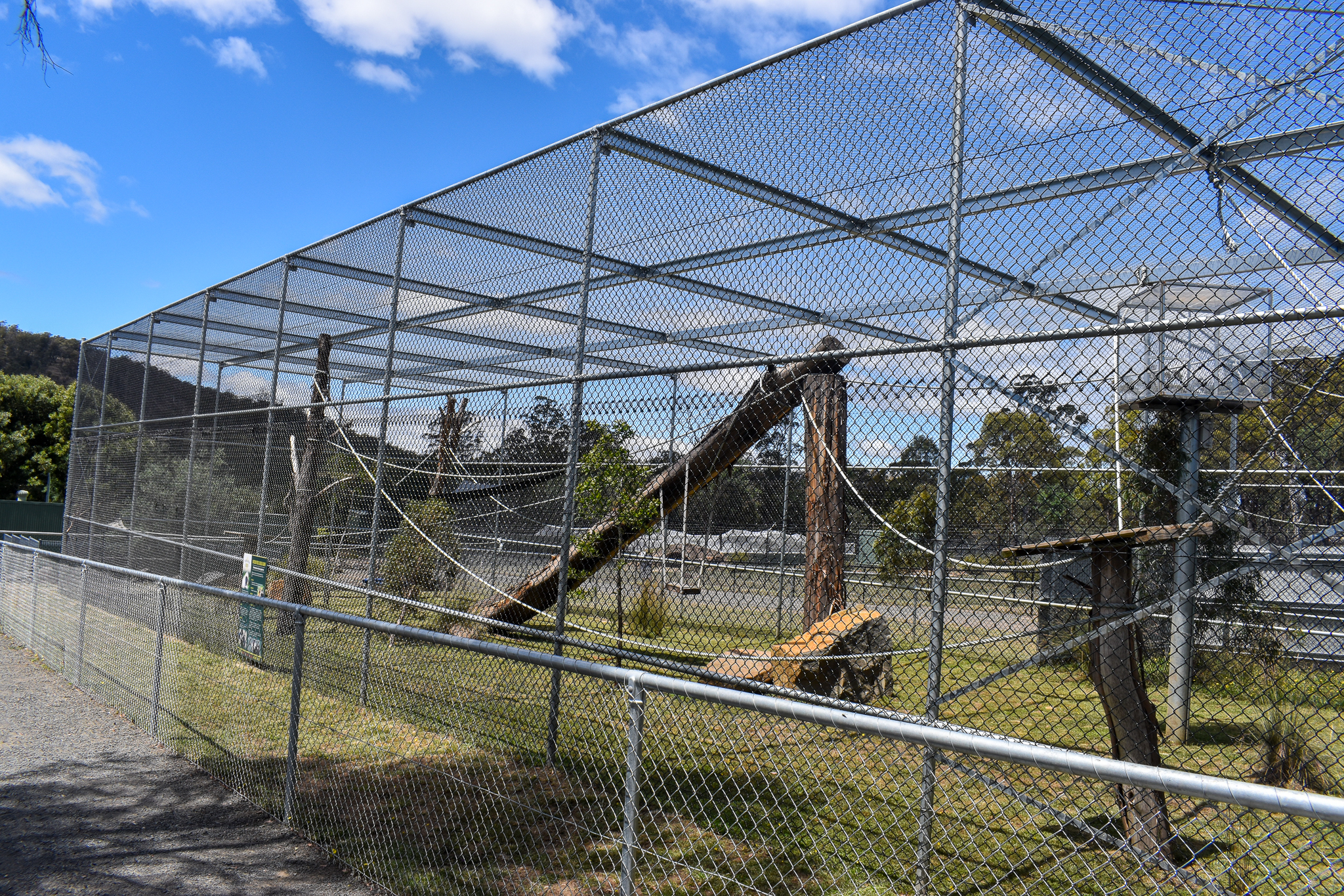 White-cheeked Gibbon enclosure