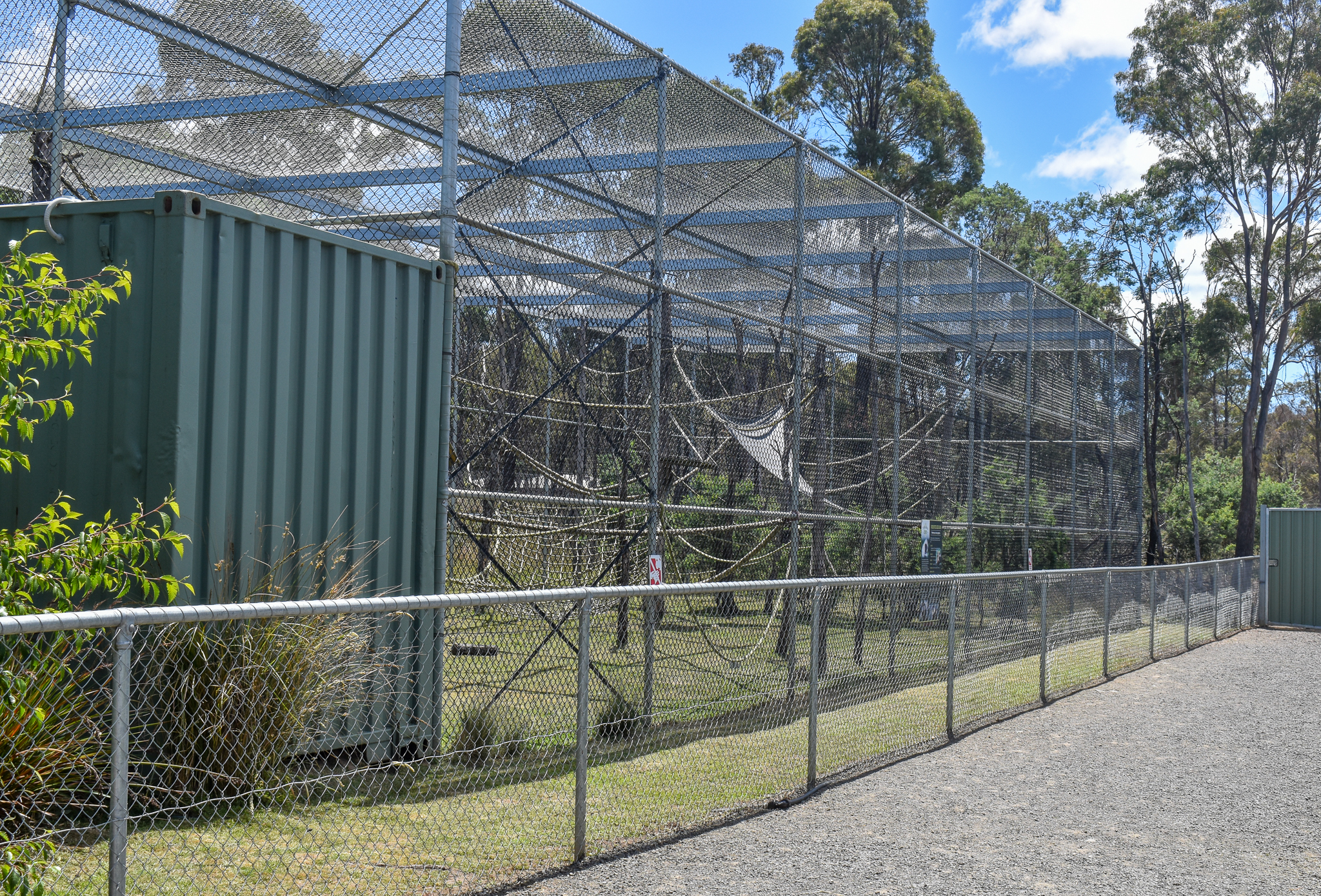White-cheeked Gibbon enclosure