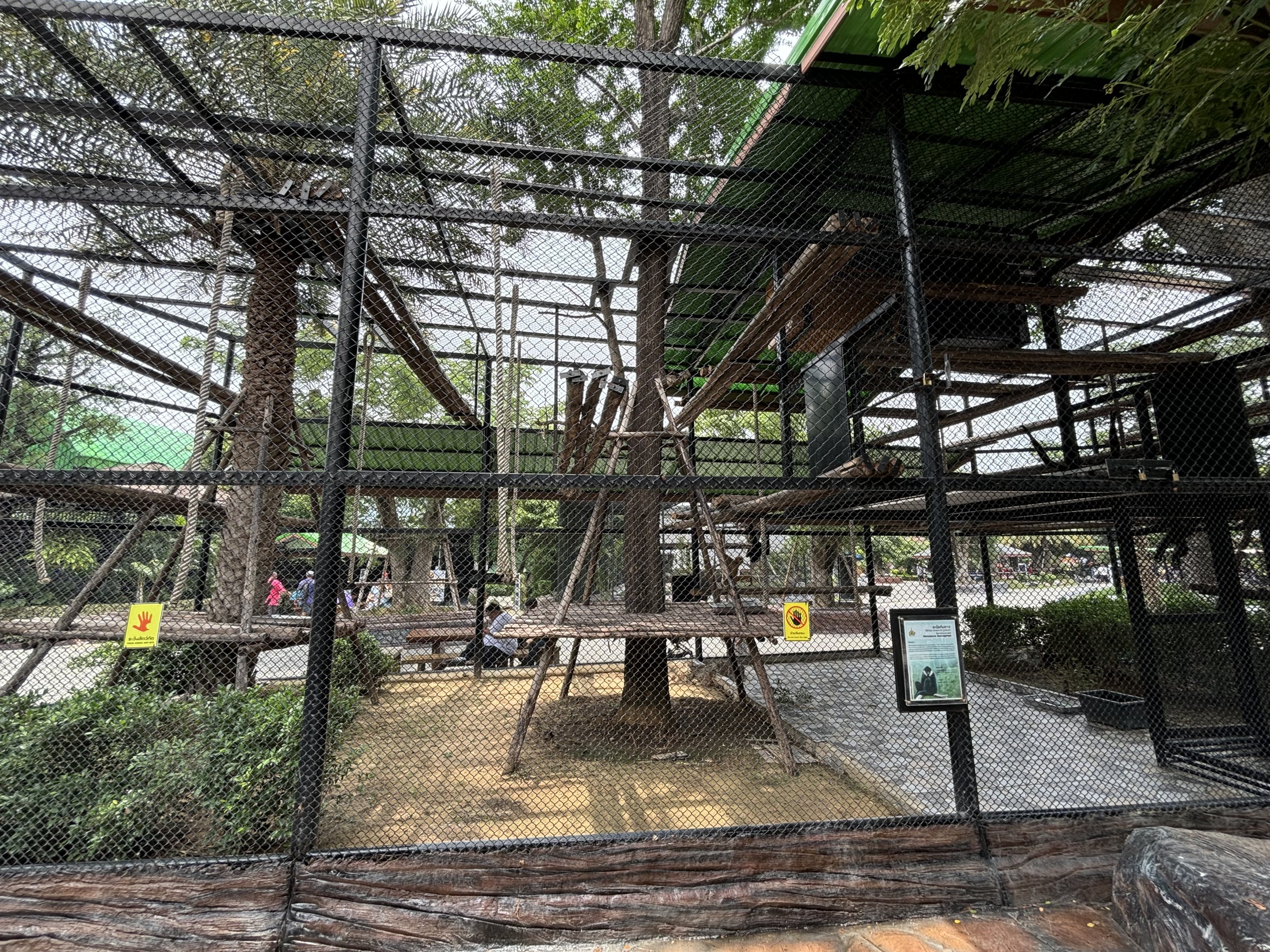 White-cheeked Gibbon Exhibit - Lion Park