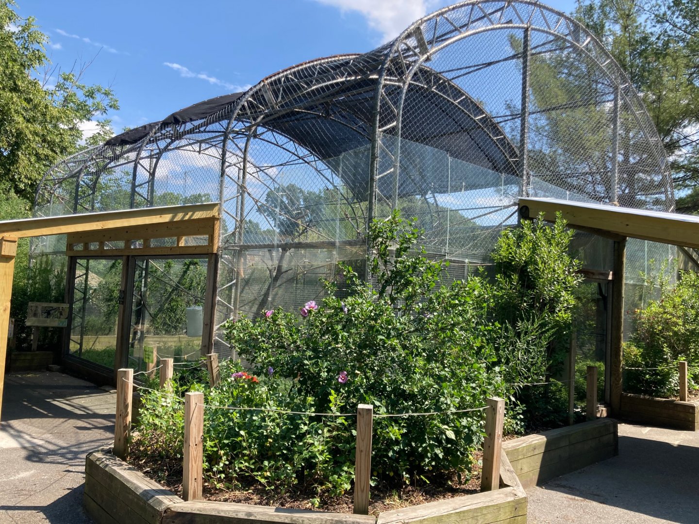 White Cheeked Gibbon Exhibit